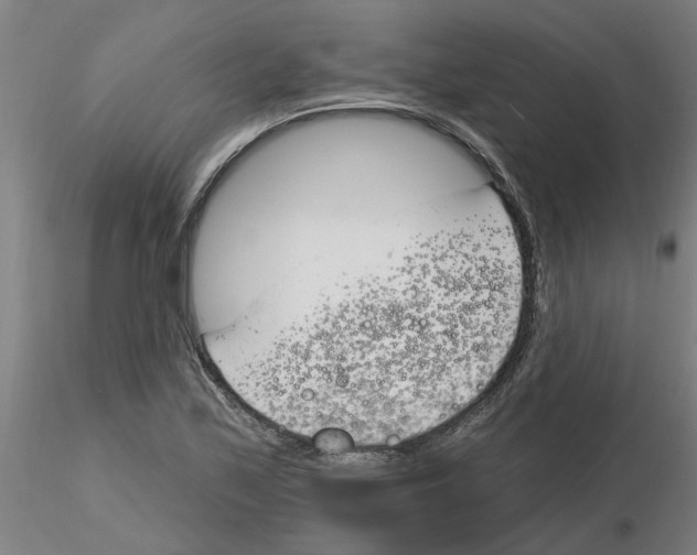 X0000116161171201001041108