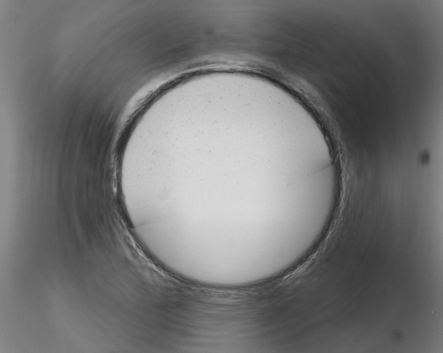 X0000116161172201001041108