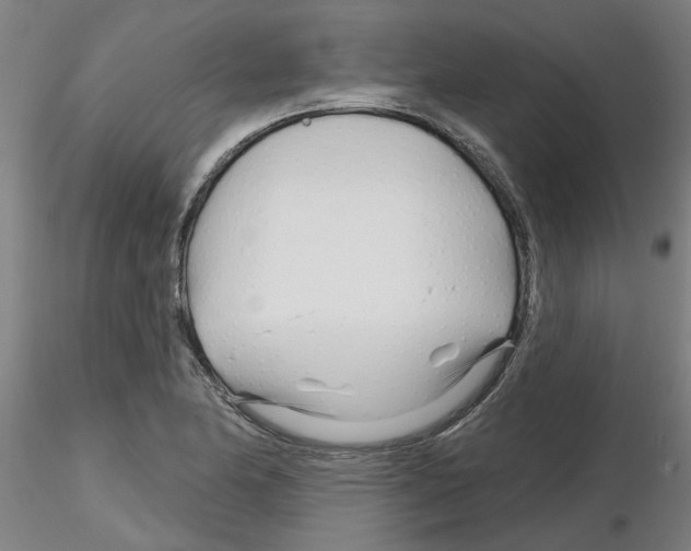 X0000116161174201001041108