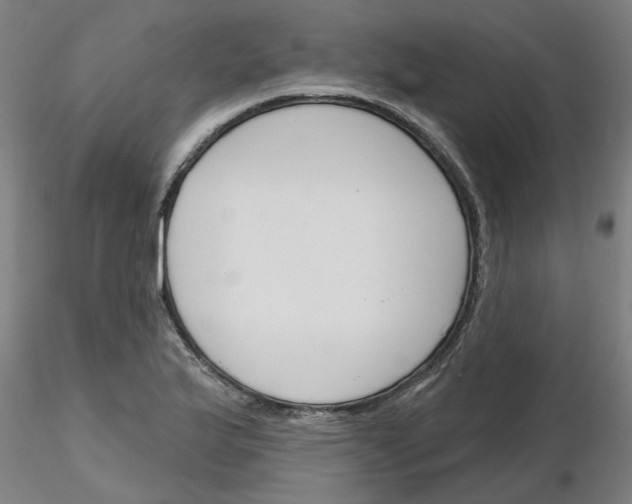X0000116161175201001041108