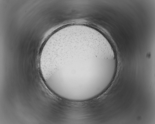 X0000116161176201001041108
