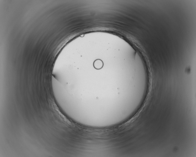 X0000116161177201001041108