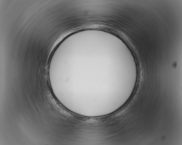 X0000116161178201001041108