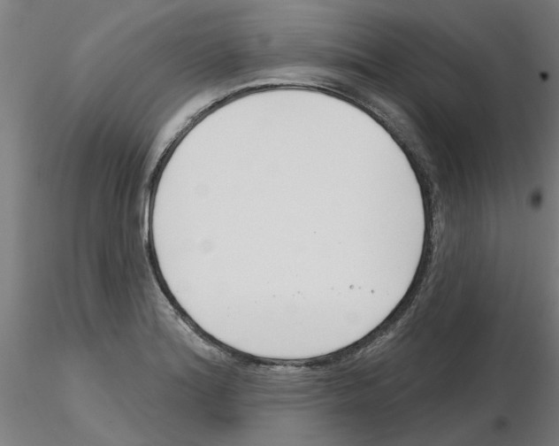 X0000116161180201001041108
