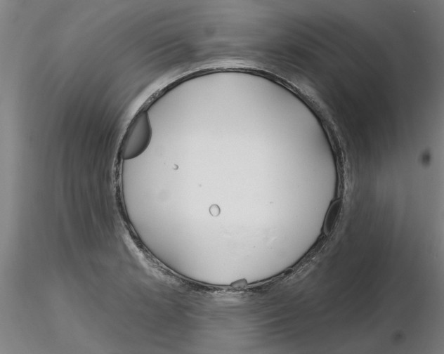 X0000116161181201001041108