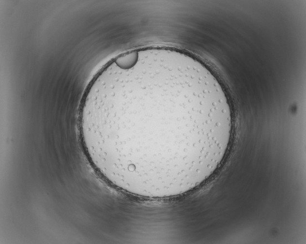 X0000116161182201001041108