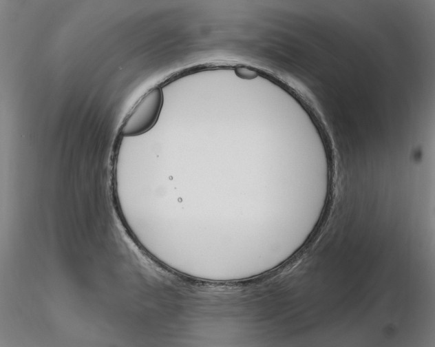 X0000116161183201001041108