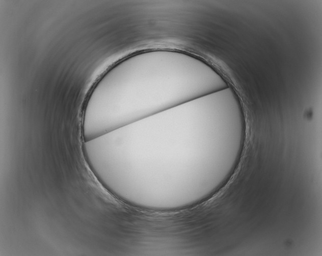 X0000116161184201001041108