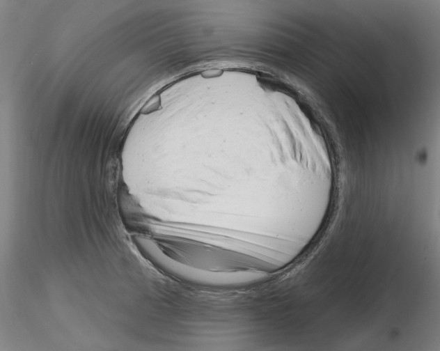 X0000116161185201001041108