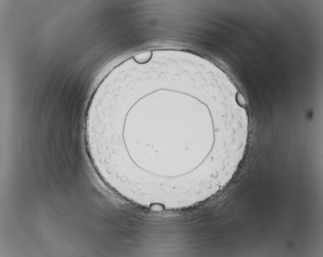 X0000116161187201001041108