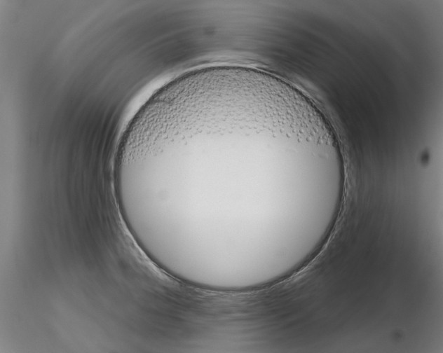 X0000116161188201001041108