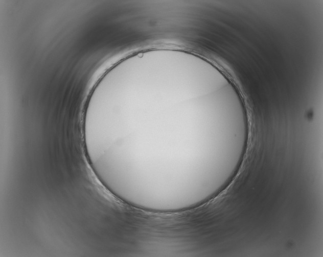 X0000116161192201001041108