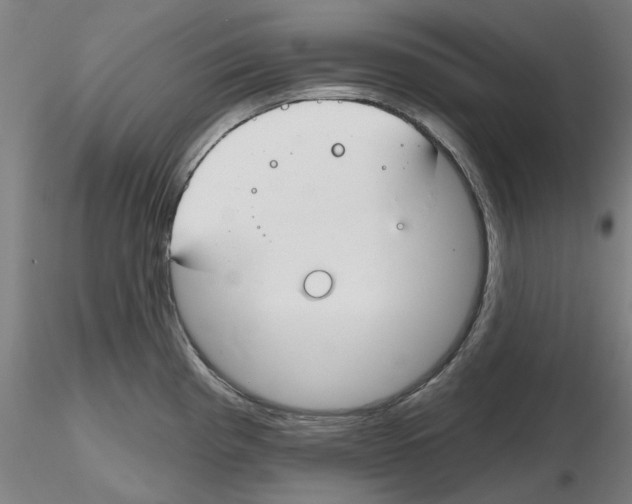 X0000116161193201001041108