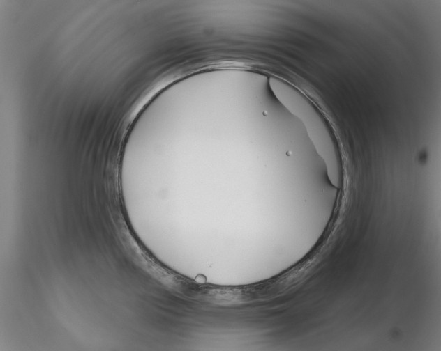 X0000116161194201001041108
