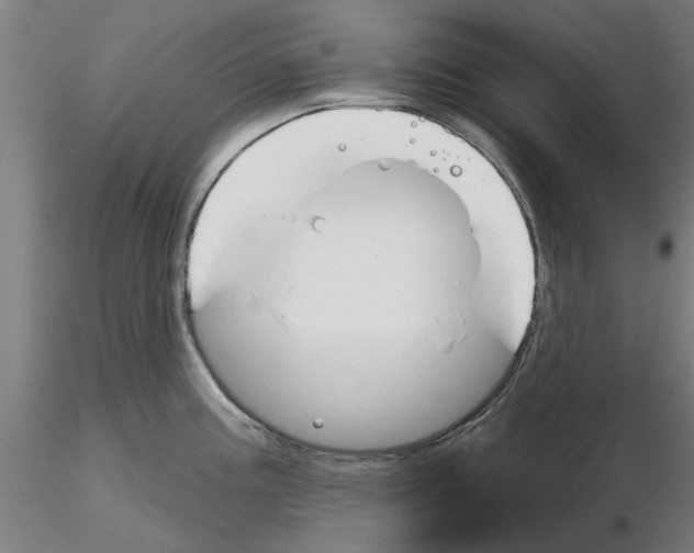 X0000116161195201001041108