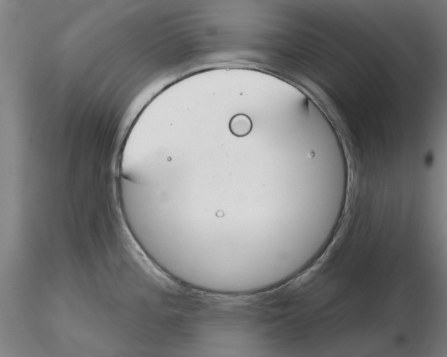 X0000116161196201001041108