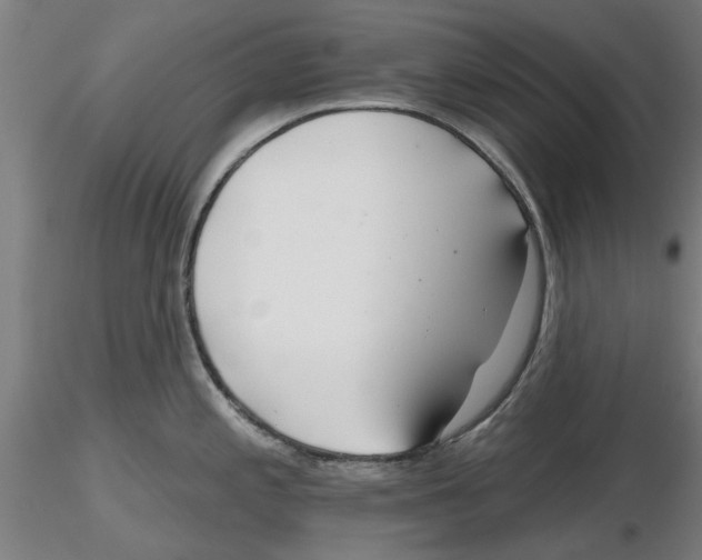 X0000116161197201001041108