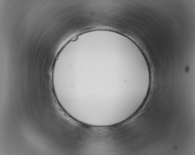 X0000116161198201001041108