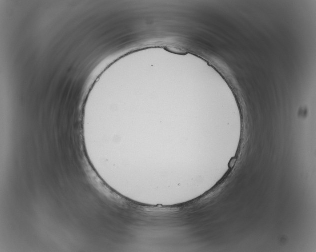 X0000116161200201001041108