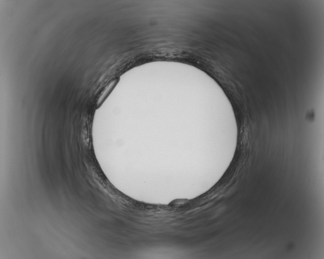 X0000116161202201001041107