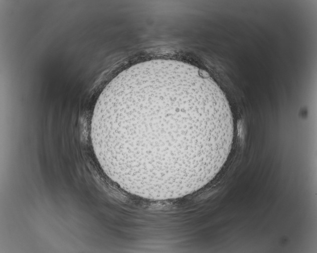 X0000116161203201001041107