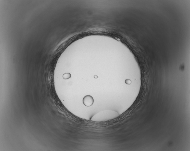 X0000116161206201001041107