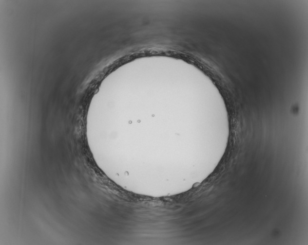 X0000116161207201001041107