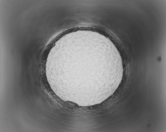 X0000116161208201001041107