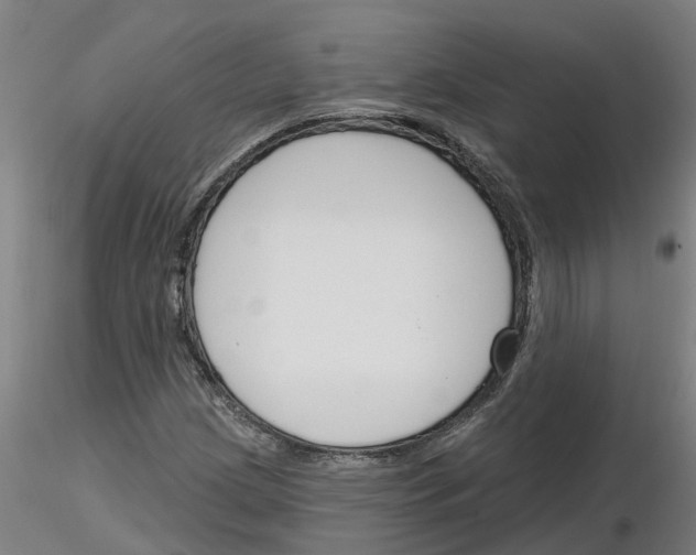 X0000116161209201001041107