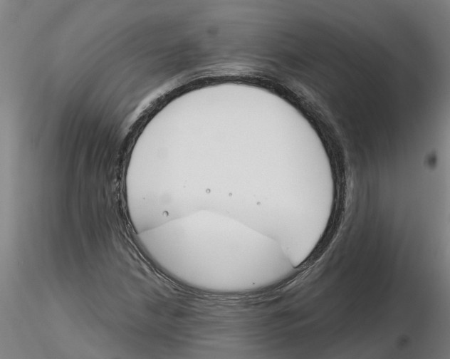 X0000116161210201001041107