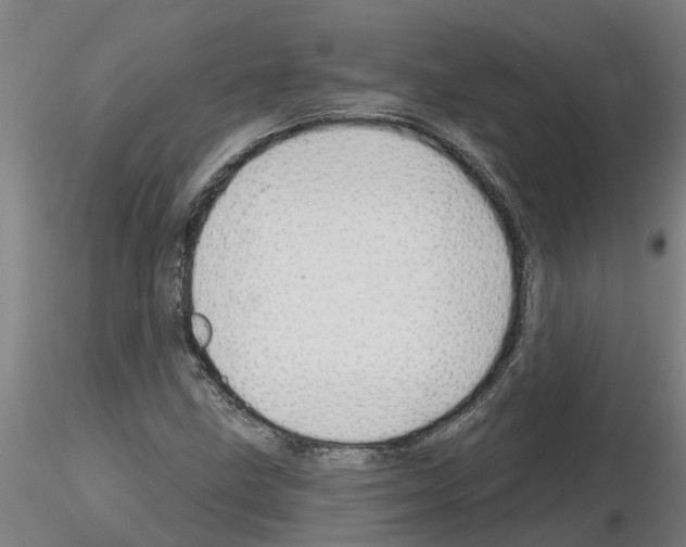 X0000116161211201001041107