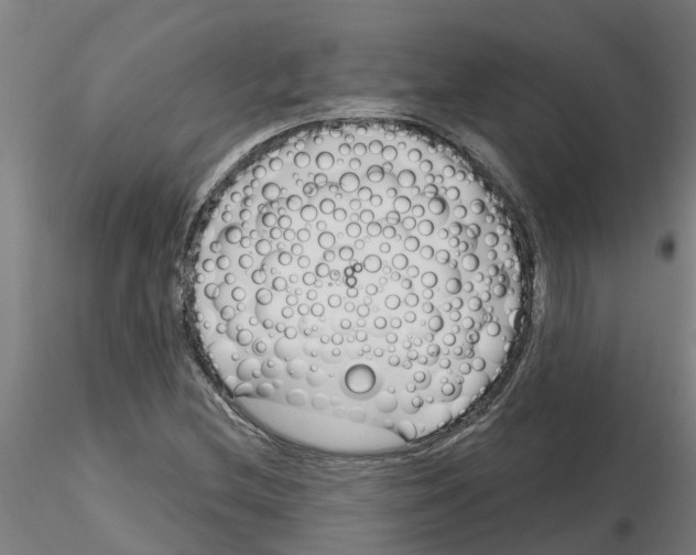 X0000116161212201001041107