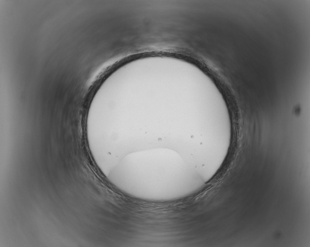 X0000116161214201001041107