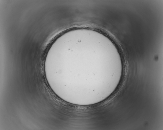 X0000116161215201001041107