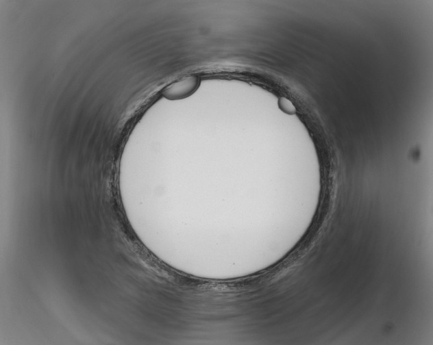 X0000116161217201001041107