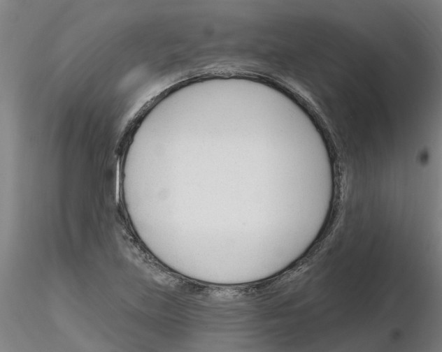 X0000116161219201001041107