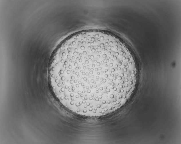 X0000116161220201001041107