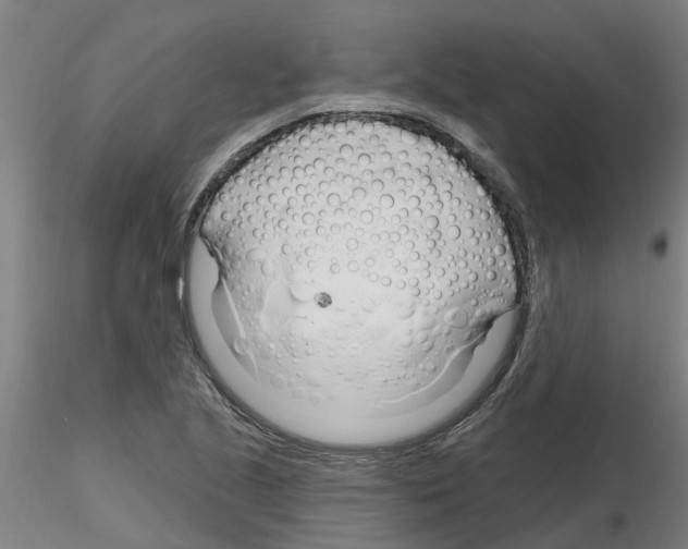 X0000116161221201001041107