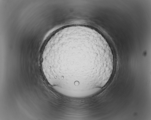 X0000116161222201001041107