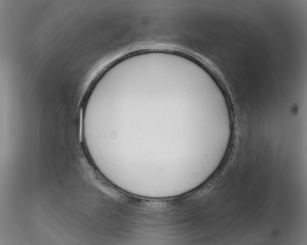 X0000116161223201001041107