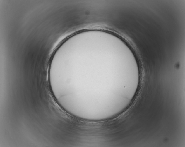 X0000116161224201001041107