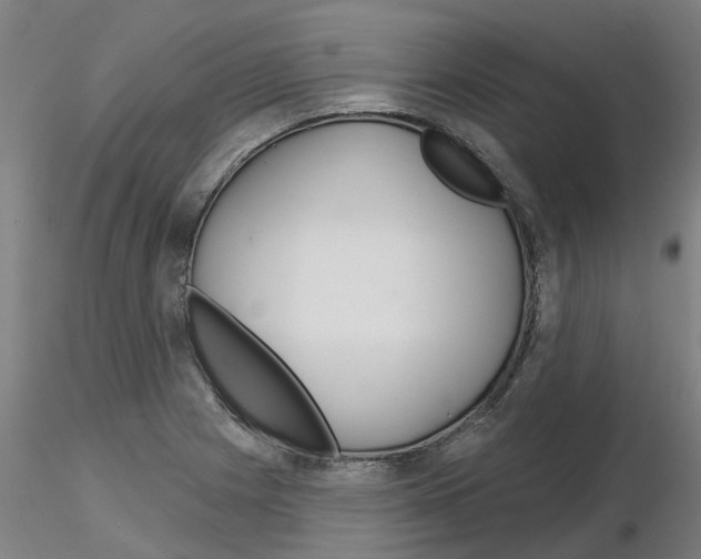 X0000116161225201001041107