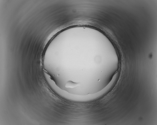 X0000116161226201001041107
