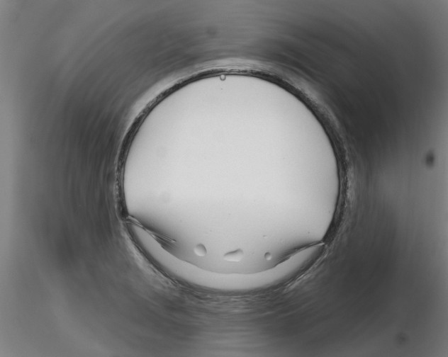 X0000116161229201001041107