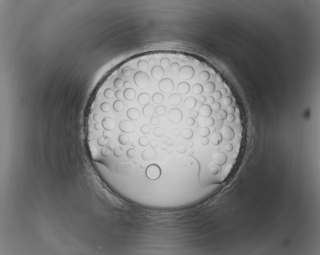 X0000116161230201001041107
