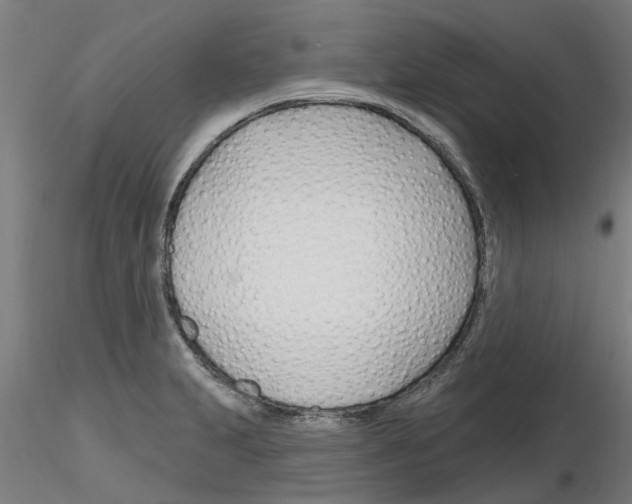 X0000116161231201001041107
