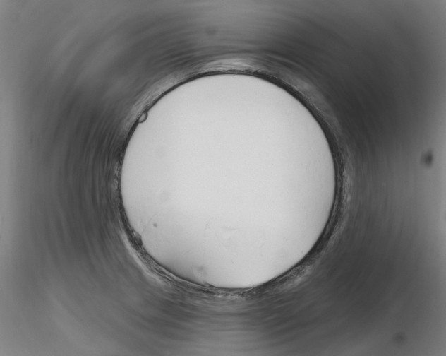 X0000116161233201001041107
