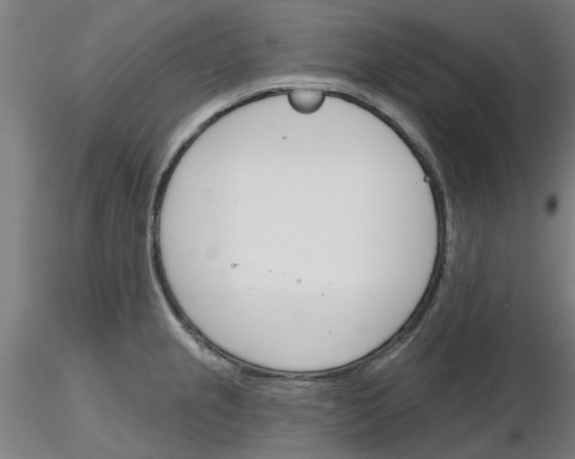 X0000116161237201001041107