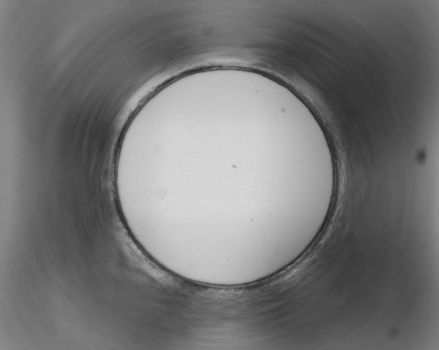 X0000116161240201001041107