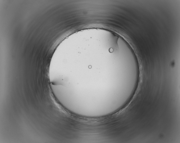 X0000116161241201001041107